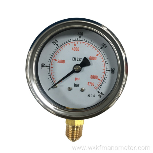 YN60 series back bottom connection pressure gauges